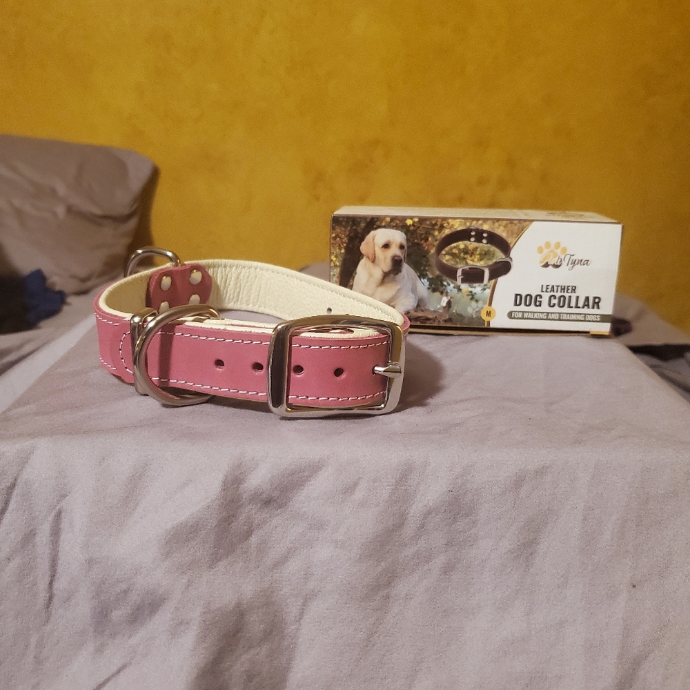 🦨Leather Dog Collar Pink Medium 1.2"x 13"- 20"